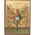 Christ the Vineyard Icon 6" x 8" 