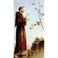  "Saint Francis of Assisi" Prayer/Holy Card (Paper/100) 