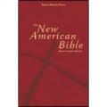  The New American Bible: Basic Youth Bible 