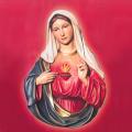  Immaculate/Sacred Heart of Mary Bust in Poly-Art Fiberglass, 40"H 