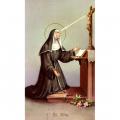  "St. Rita" Prayer/Holy Card (Paper/100) 
