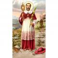  "St. Raymond" Prayer/Holy Card (Paper/100) 