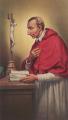  "St. Charles" Prayer/Holy Card (Paper/100) 