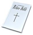  NEW CATHOLIC PICTURE BIBLE: POPULAR STORIES FROM THE OLD AND NEW TESTAMENTS 