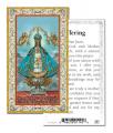  "Our Lady of San Juan" Prayer/Holy Card (Paper/100) 