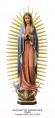  Our Lady of Guadalupe Statue in Fiberglass, 24" & 60"H 