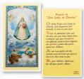  "Prayer to Our Lady of Charity" Laminated Prayer/Holy Card (25 pc) 