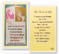  "The Road of Life" Laminated Prayer/Holy Card (25 pc) 