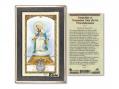  Virgen de la Divina Prayer Card w/Medal 