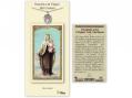  Virgen del Carmen Prayer Card w/Medal 