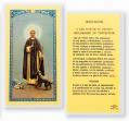  "SAN MARTIN DE PORRES" Laminated Prayer/Holy Card (25 pc) 