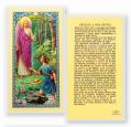 "ORACION A SAN RAFAEL" Laminated Prayer/Holy Card (25 pc) 