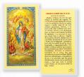  "ORACION A LA MADRE SMA.DE LUZ" Laminated Prayer/Holy Card (25 pc) 