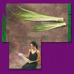  Short Congregational Palms for Easter/Palm Sunday: 13\" to 20\" (Bag of 100) 