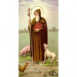  \"St. Anthony Abbot\" Prayer/Holy Card (Paper/100) 