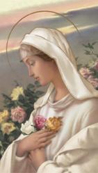 \"Rosa Mystica\" Prayer/Holy Card (Paper/100) 