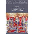  The Gospel According to Matthew: Vol. 1 (2 pc) 