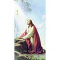  "The Agony in the Garden" Prayer/Holy Card (Paper/100) 
