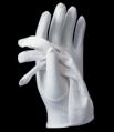  "Men's Large Gloves" White, One Size (Nylon) 