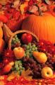  Fall Harvest Cornucopia Bulletin 