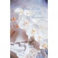  "Our Love is Forever" Prestige Marriage/Unity/Wedding Bulletin (100 pc) 