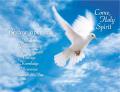  Come Holy Spirit Wide-View Bulletin 