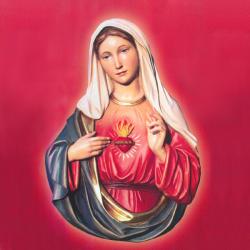  Immaculate/Sacred Heart of Mary Bust in Poly-Art Fiberglass, 40\"H 