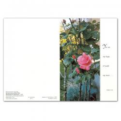  \"You Are My Hope...\" Sympathy/Deceased Mass Card 