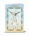  SPANISH HOLY SPIRIT NOVENA BOOK (10 PC) 