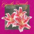  Gentle Sounds Vol. 3: Instrumental Prayer for Prayer & Worship (CD) 