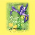  Gentle Sounds Vol. 4: Instrumental Music for Prayer & Worship (CD) 