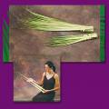  Long Congregational Palms for Easter/Palm Sunday: 24" to 36" (Bag of 100) 
