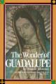  The Wonder of Guadalupe 