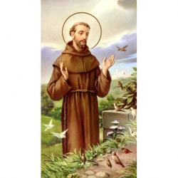  \"St. Francis of Assisi\" Prayer/Holy Card (Paper/100) 