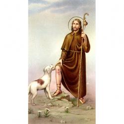  \"St. Roch\" Prayer/Holy Card (Paper/100) 