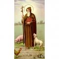  "St. Anthony Abbot" Prayer/Holy Card (Paper/100) 