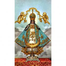  \"Our Lady of San Juan\" Prayer/Holy Card (Paper/100) 