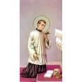  "St. Aloysius Gonzaga" Prayer/Holy Card (Paper/100) 
