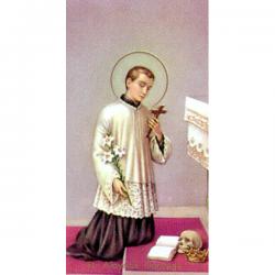  \"St. Aloysius Gonzaga\" Prayer/Holy Card (Paper/100) 
