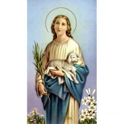  \"St. Agnes\" Prayer/Holy Card (Paper/100) 