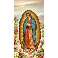  "Our Lady of Guadalupe" Prayer/Holy Card (Paper/100) 
