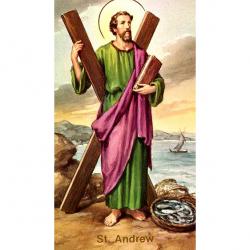  \"St. Andrew\" Prayer/Holy Card (Paper/100) 