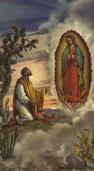  \"St. Juan Diego with Guadalupe\" Prayer/Holy Card (Paper/100) 