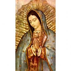  \"Our Guadalupe Bust\" Prayer/Holy Card (Paper/100) 