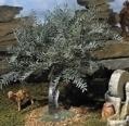  "Small Olive Tree" for Christmas Nativity Scene 