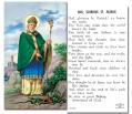  "Hail, Glorious St. Patrick" Prayer/Holy Card (Paper/100) 