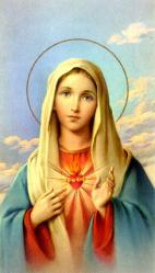  \"Immaculate Heart of Mary\" Spanish Prayer/Holy Card (Paper/100) 