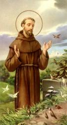  \"St. Francis of Assisi\" Spanish Prayer/Holy Card (Paper/100) 