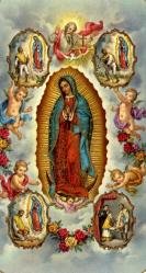  \"Our Lady of Guadalupe\" Spanish Prayer/Holy Card (Paper/100) 