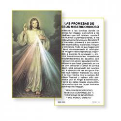  \"Divine Mercy\" Spanish Prayer/Holy Card (Paper/100) 